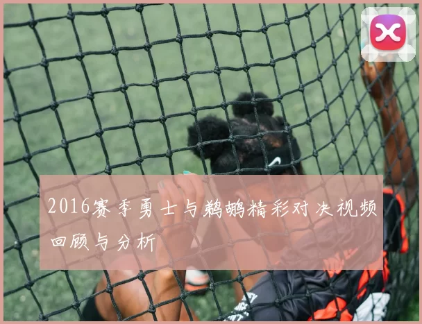 2016赛季勇士与鹈鹕精彩对决视频回顾与分析