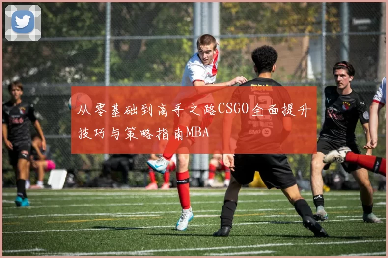 从零基础到高手之路CSGO全面提升技巧与策略指南MBA