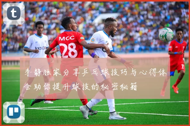 李静独家分享乒乓球技巧与心得体会助你提升球技的秘密秘籍