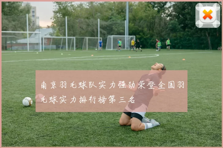 南京羽毛球队实力强劲荣登全国羽毛球实力排行榜第三名