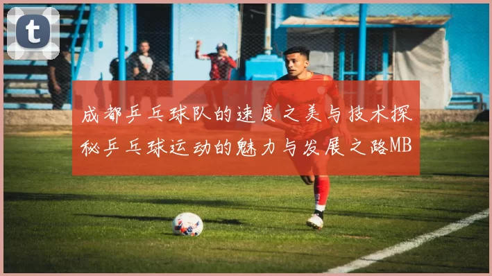 成都乒乓球队的速度之美与技术探秘乒乓球运动的魅力与发展之路MBA