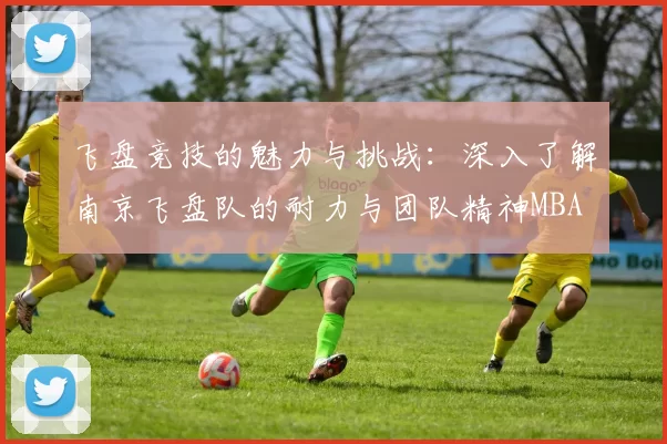 飞盘竞技的魅力与挑战：深入了解南京飞盘队的耐力与团队精神MBA