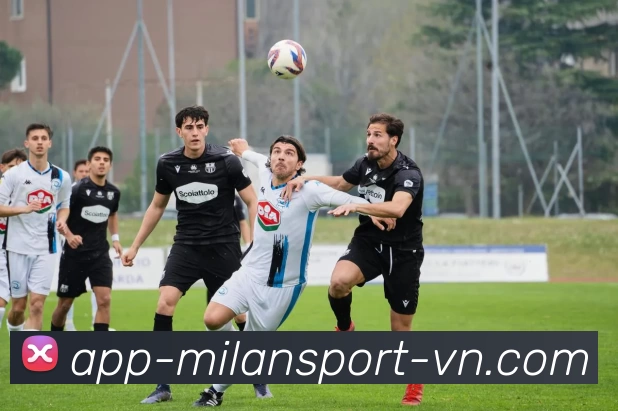 米兰体育.com平台生态图